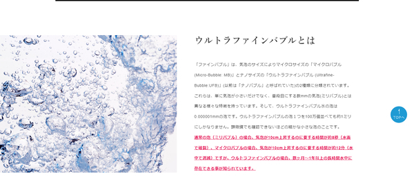 NEOの公式HPキャプチャ
